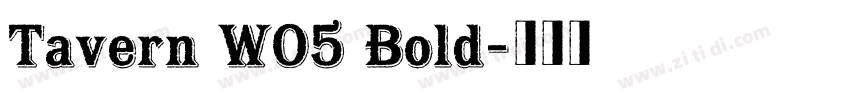 Tavern W05 Bold字体转换